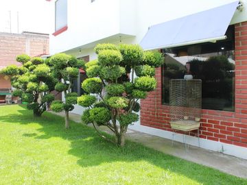 Casa En Venta Calimaya