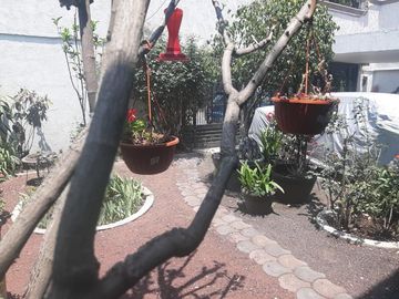 Casa Venta Bosques de Echegaray, Naucalpan de Juárez, Estado de México