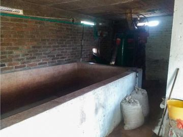 Finca cafetera tecnificada en Altagracia-Pereira