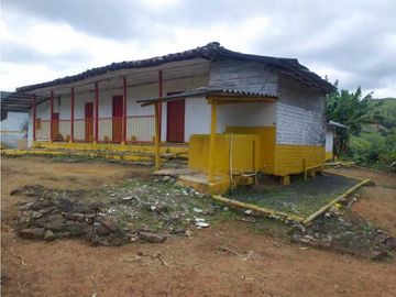 Finca cafetera tecnificada en Altagracia-Pereira