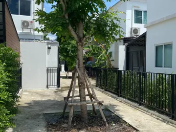 3 Bedroom Townhouse for sale at The Connect Tiwanon-Chaengwattana