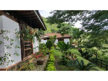 Venta de Finca en FREDONIA  , 96000 mt2, La oportunidad del siglo