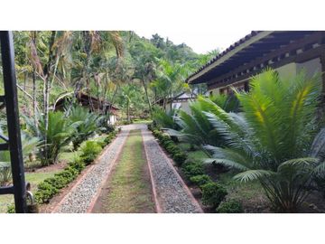 Venta de Finca en FREDONIA  , 96000 mt2, La oportunidad del siglo