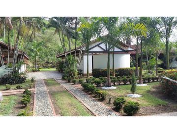 Venta de Finca en FREDONIA  , 96000 mt2, La oportunidad del siglo