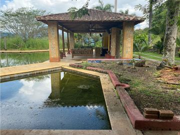 Venta de Finca en FREDONIA  , 96000 mt2, La oportunidad del siglo