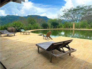 Venta de Finca en FREDONIA  , 96000 mt2, La oportunidad del siglo