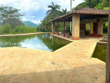 Venta de Finca en FREDONIA  , 96000 mt2, La oportunidad del siglo