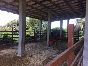 Finca independiente en venta Copacabana