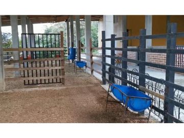 Finca independiente en venta Copacabana