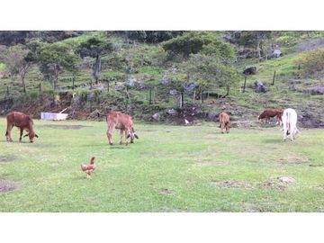 Finca independiente en venta Copacabana