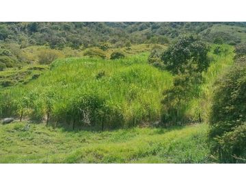 Finca independiente en venta Copacabana