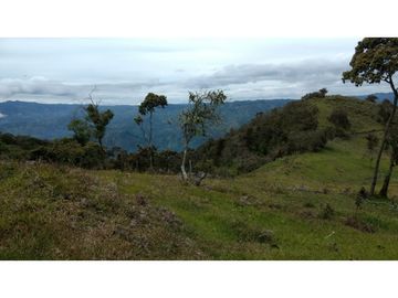 Finca agroindustrial en Venta Girardota,*  mt2 $ 4.464  PESOS ML