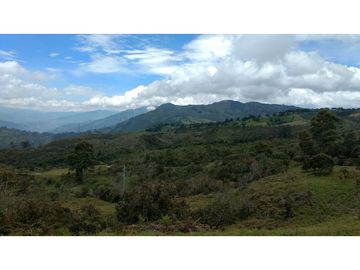 Finca agroindustrial en Venta Girardota,*  mt2 $ 4.464  PESOS ML