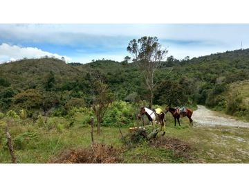 Finca agroindustrial en Venta Girardota,*  mt2 $ 4.464  PESOS ML