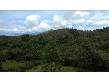 Finca agroindustrial en Venta Girardota,*  mt2 $ 4.464  PESOS ML