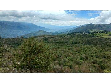 Finca agroindustrial en Venta Girardota,*  mt2 $ 4.464  PESOS ML