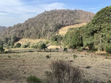 Terreno en Venta en PALO HUECO