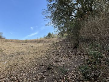 Terreno en Venta en PALO HUECO