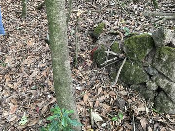 Terreno en Venta en PALO HUECO