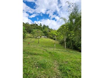 Se Vende Finca De Pastos En Salento
