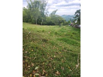 Se Vende Finca De Pastos En Salento