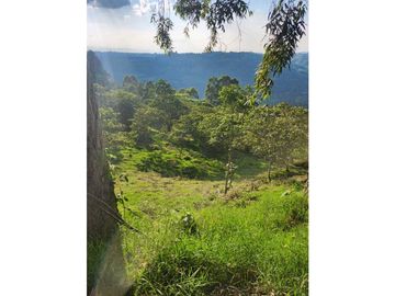 Se Vende Finca De Pastos En Salento