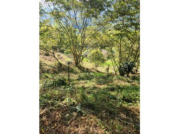 Se Vende Finca De Pastos En Salento