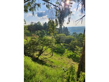 Se Vende Finca De Pastos En Salento