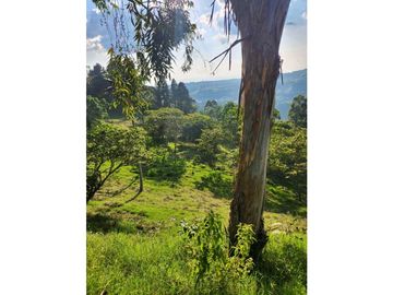 Se Vende Finca De Pastos En Salento