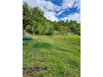 Se Vende Finca De Pastos En Salento