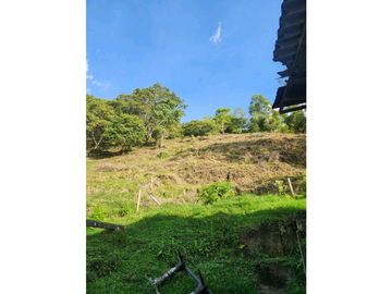 Se Vende Finca De Pastos En Salento
