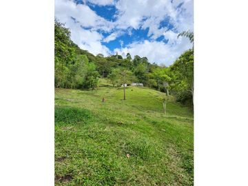 Se Vende Finca De Pastos En Salento