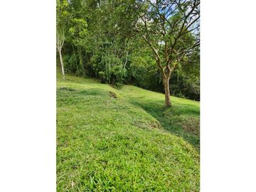 Se Vende Finca De Pastos En Salento