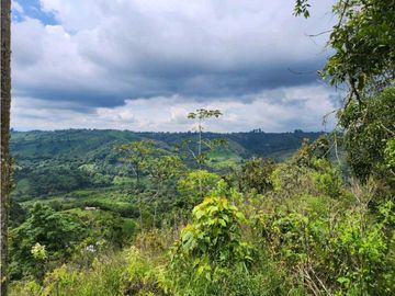 Se Vende Finca De Pastos En Salento
