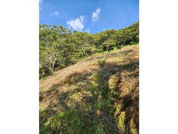Se Vende Finca De Pastos En Salento