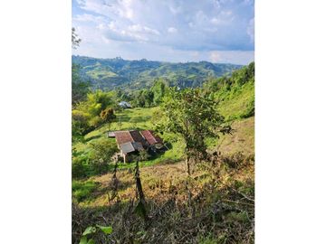 Se Vende Finca De Pastos En Salento