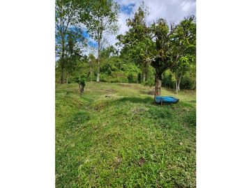 Se Vende Finca De Pastos En Salento