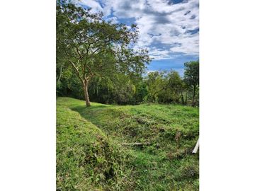 Se Vende Finca De Pastos En Salento