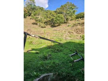 Se Vende Finca De Pastos En Salento