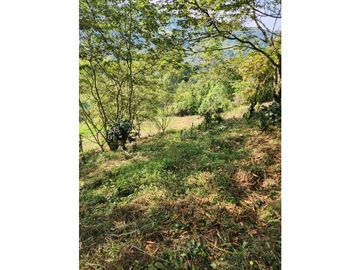 Se Vende Finca De Pastos En Salento