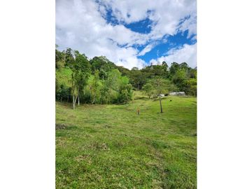 Se Vende Finca De Pastos En Salento