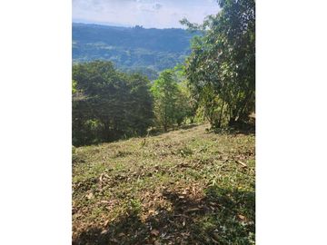 Se Vende Finca De Pastos En Salento