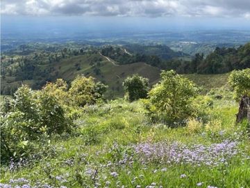 Se Vende Hermosa Hacienda Cafetera en Chiriquí