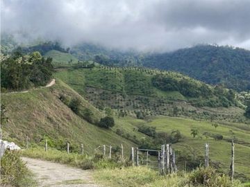 Se Vende Hermosa Hacienda Cafetera en Chiriquí