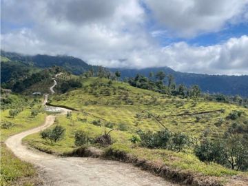 Se Vende Hermosa Hacienda Cafetera en Chiriquí