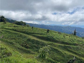 Se Vende Hermosa Hacienda Cafetera en Chiriquí