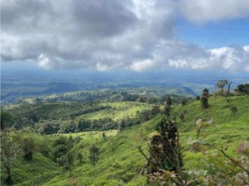 Se Vende Hermosa Hacienda Cafetera en Chiriquí