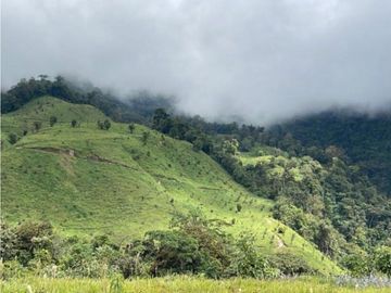 Se Vende Hermosa Hacienda Cafetera en Chiriquí