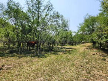 Ranchos Venta Montemorelos Zona Carr. Nacional 01-RV-9199