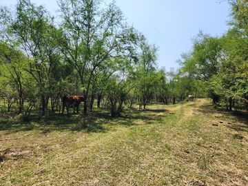Ranchos en Venta en El Pastor